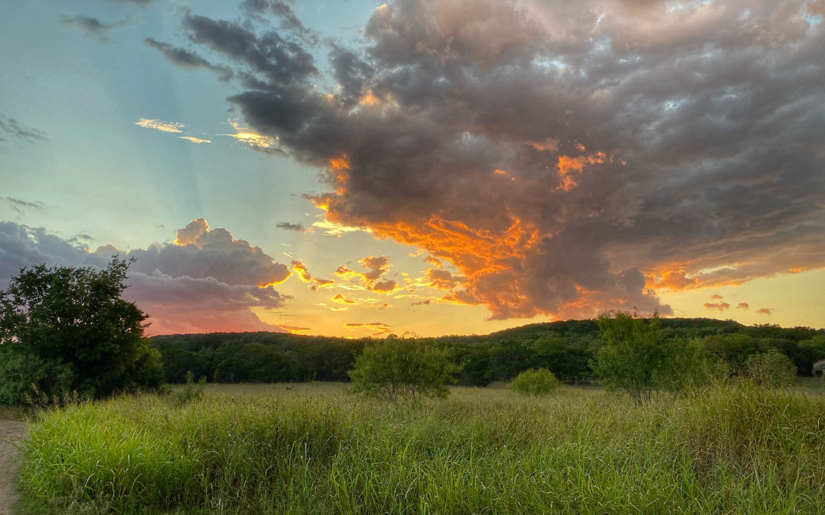 Is Now a Good Time to Buy Rural Land Near Salem, Missouri?